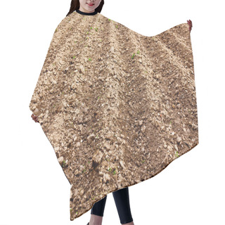 Personality  Ploughed Land Hair Cutting Cape