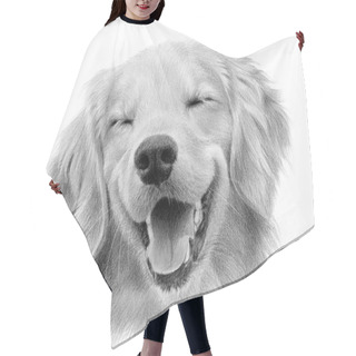 Personality  Realistic Monochrome Portrait Of A Happy Labrador Retriever. Hand-drawn Drawing Of A Dog's Head Isolated On White Background Hair Cutting Cape