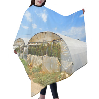 Personality  High Tunnels Hair Cutting Cape