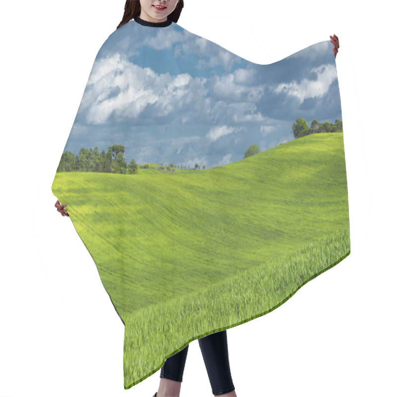 Personality  Tuscan Spring Magical Landscape. Hair Cutting Cape