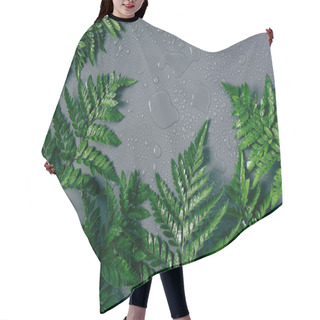 Personality  Flat Lay With Arrangement Of Green Fern Plants With Water Drops On Grey Backdrop Hair Cutting Cape