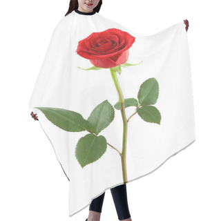 Personality  One Red Rose. Hair Cutting Cape