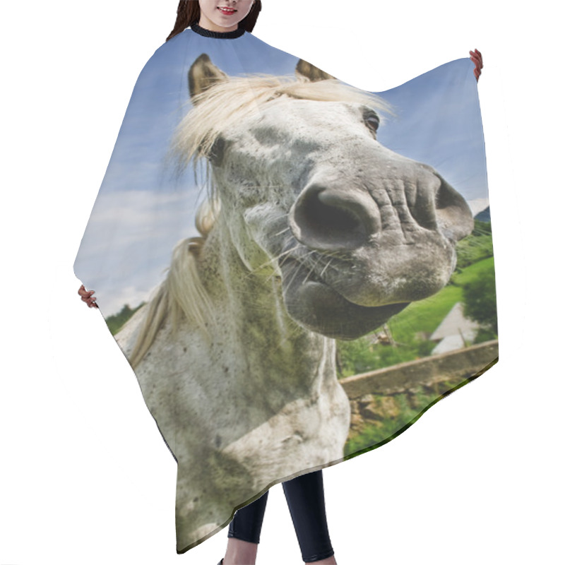 Personality  Portrait Of White Horse Making A Funny Face Hair Cutting Cape