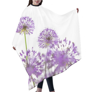 Personality  Beautiful Allium / Abstract On White Hair Cutting Cape
