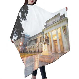 Personality  Prado Museum View Hair Cutting Cape