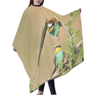 Personality  Bee-eater Couple Hair Cutting Cape