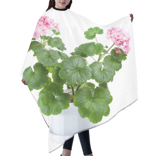 Personality  Blossoming Geranium In Pot Hair Cutting Cape