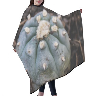 Personality  Peyote Cactus Plant   Hair Cutting Cape