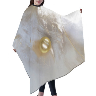 Personality  White Mother Of Pearl Pinctada Maxima Oyster Hair Cutting Cape