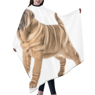 Personality  Chinese Shar Pei Puppy Hair Cutting Cape