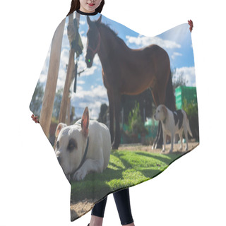 Personality  Two Dogs And A Horse On A Farm Hair Cutting Cape