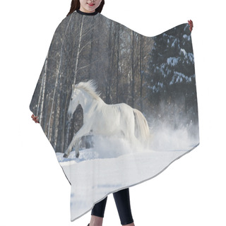Personality  White Horse Runs In Winter Hair Cutting Cape