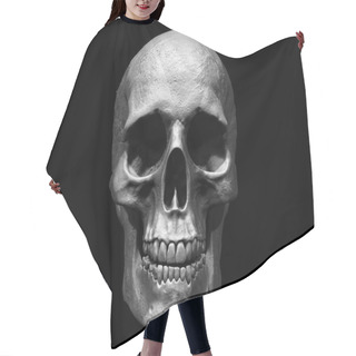 Personality  Human Skull 3d Illustration Isolated In Background Hair Cutting Cape