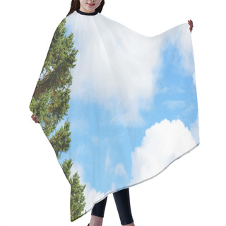 Personality  Evergreen Tree And Blue Sky Hair Cutting Cape