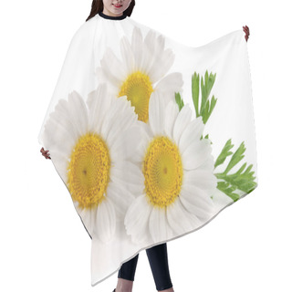 Personality  Three Chamomile Or Daisies With Leaves Isolated On White Background Hair Cutting Cape