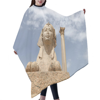 Personality  Pompey Pillar In Alexandria, Egypt Hair Cutting Cape