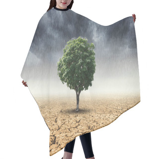 Personality  Landscape Of Trees With The Changing Environment, Concept Of Climate Change. Hair Cutting Cape