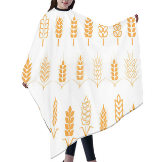 Personality  A Set Of Seeds Of Wheat, Barley, Rye Ears. Vector Illustration On White Background Izolirovaeerm. Hair Cutting Cape