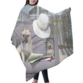 Personality  The Purebred Puppy Of French Bulldog Is Reading With Interest A Book That Lies Open At Its Paws Among Other Books, White Hat On The Armchair At The Summer Terrace With Metal Background.  Hair Cutting Cape