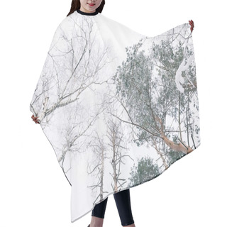 Personality  Bottom View Of Trees Covered With Snow In Forest Hair Cutting Cape