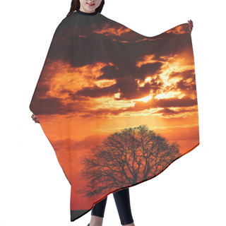 Personality  Giant Oak Tree At Sunset Hair Cutting Cape