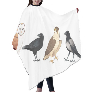 Personality  Set Of Forest Birds Owl Raven Hawk And Crow Cartoon Animal Design Vector Illustration On White Background Hair Cutting Cape