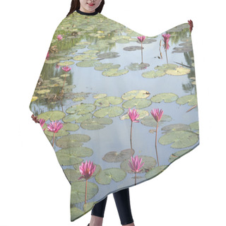Personality  Wild Pond With Lotuses. Hair Cutting Cape