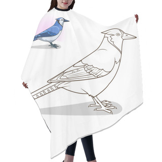 Personality  Blue Jay Bird Coloring Book Vector Hair Cutting Cape
