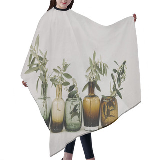 Personality  Close Up View Of Olive Branches With Fresh Leaves In Vases On Table On White Backdrop Hair Cutting Cape