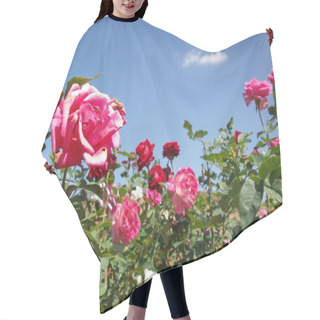 Personality  Rose Flower Blue Sky Hair Cutting Cape
