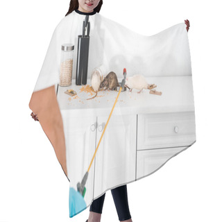 Personality  Cropped View Of Exterminator Standing Near Rats In Kitchen  Hair Cutting Cape