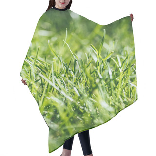 Personality  Close-up View Of Fresh Green Grass, Selective Focus Hair Cutting Cape