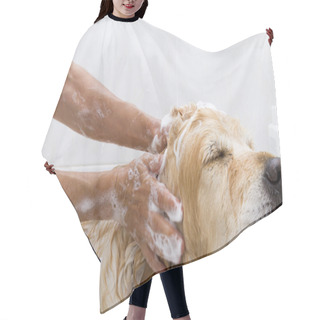 Personality  Bathroom To A Dog Hair Cutting Cape
