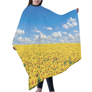 Personality  Field Of Yellow Sunflowers Against The Blue Sky Hair Cutting Cape