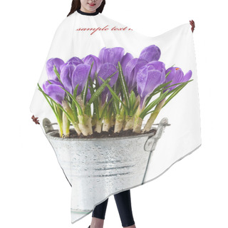 Personality  Crocuses Hair Cutting Cape