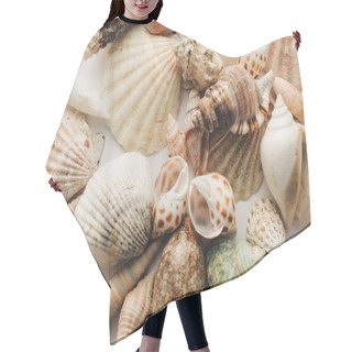 Personality  Pile Of Beautiful Sea Shells On White Background Hair Cutting Cape