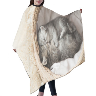 Personality  Cute Tabby Kittens Sleeping And Hugging Hair Cutting Cape