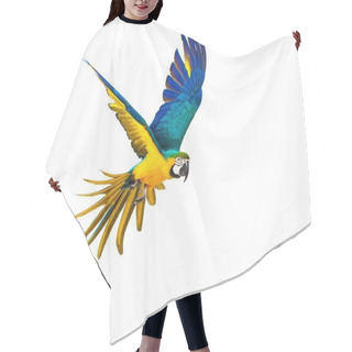Personality  Colourful Flying Parrot Isolated On White  Hair Cutting Cape