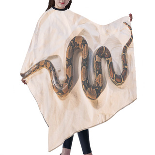 Personality  Top View Of Python On Textured Sand Hair Cutting Cape