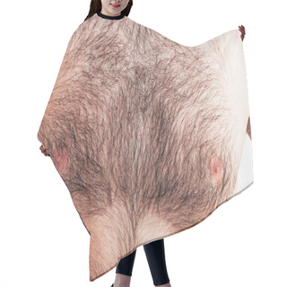 Personality  Boy With Naked Hairy Chest On White Background Hair Cutting Cape