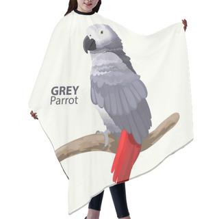 Personality  Grey Parrot. Exotic Tropical Bird. Vector Illustration. Hair Cutting Cape