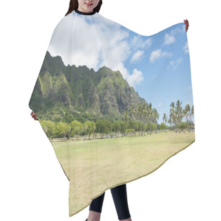 Personality  Green Mountains Hair Cutting Cape