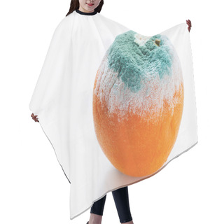 Personality  Orange Covered With Mould Hair Cutting Cape