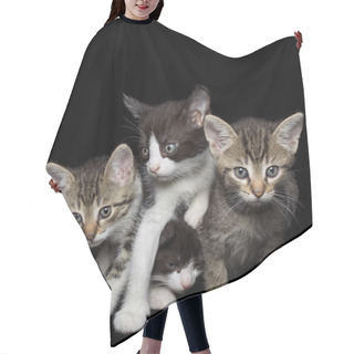 Personality  Four Young Cats Hair Cutting Cape