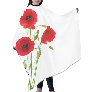 Personality  Red Poppy Flower Isolated On A White Background Hair Cutting Cape