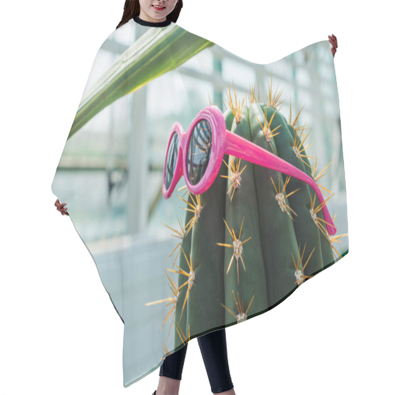 Personality  Beautiful Green Cactus With Bright Pink Sunglasses In Greenhouse  Hair Cutting Cape