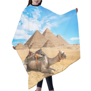 Personality  Camel In Sandy Desert Hair Cutting Cape