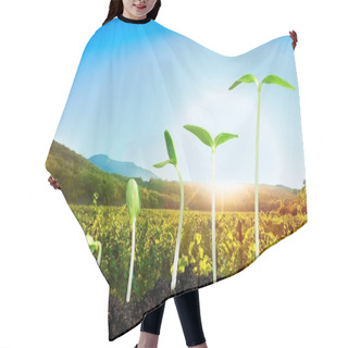 Personality  Growth Of New Life Hair Cutting Cape
