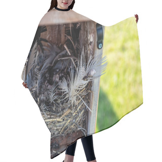 Personality  Open Bird House With An Empty Nest Of Feathers And Straw After Eggs Have Hatched And Young Have Left. . High Quality Photo Hair Cutting Cape