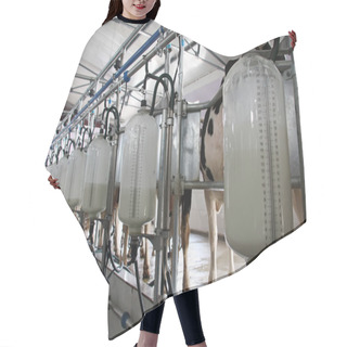 Personality  Mechanized Milking Equipment Hair Cutting Cape